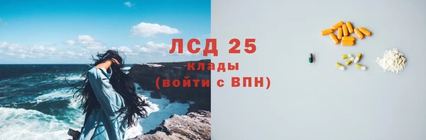 тгк Инта