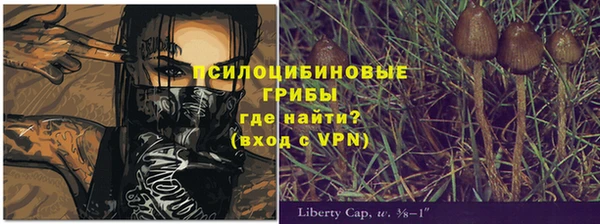 тгк Инта