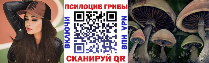 Псилоцибиновые грибы Magic Shrooms  Купить закладки  Буйнакск 